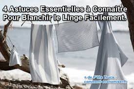 L’attribut alt de cette image est vide, son nom de fichier est téléchargement-1.jpg.